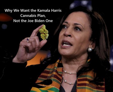 KAMALA HARRIS PLAN FOR LEGAL WEED